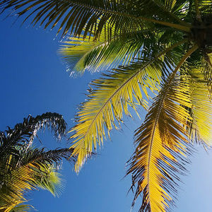 Meet your Posher, Liam